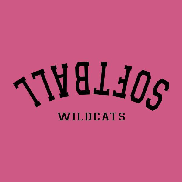 Softball Design Template 43