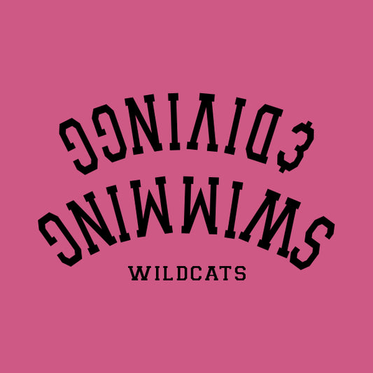 Swimming & Diving Design Template 27